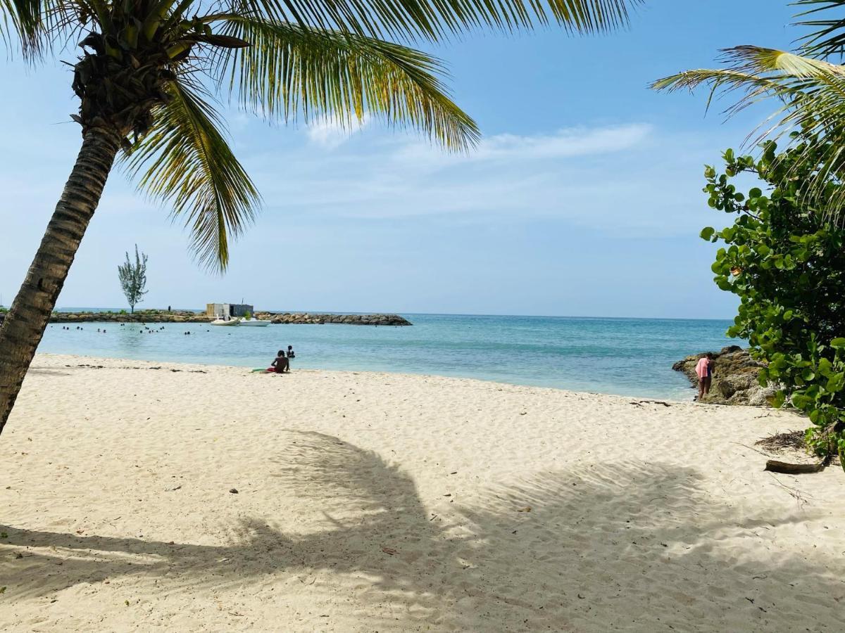 Vanille, A Proximite Des Plages, Idealement Situe Pour Visiter La Guadeloupe 哥西尔 外观 照片